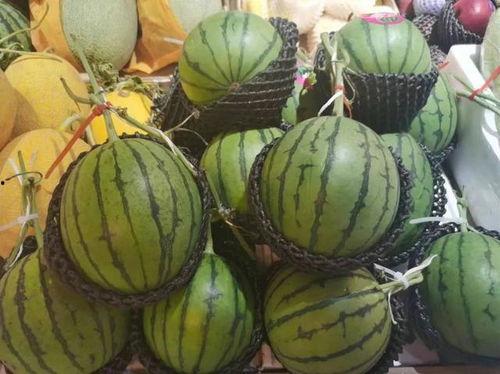 吃瓜用的小叉子,揭秘吃瓜小叉子的魅力与用法