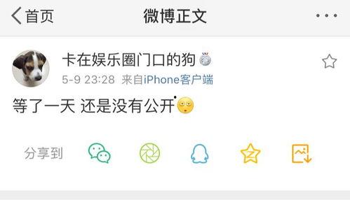 吃瓜爆料总站,揭秘娱乐圈幕后真相，带你走进明星生活