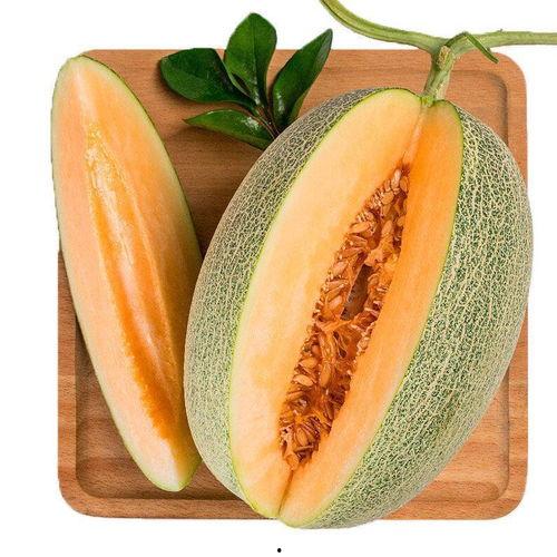 弘电脑 吃瓜,揭秘“吃瓜”背后的科技力量