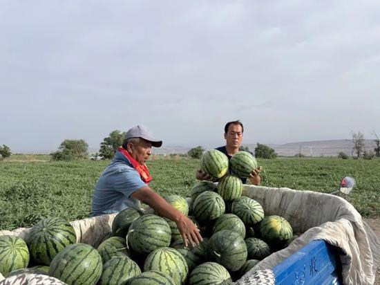 君泽吃瓜,揭秘娱乐圈幕后故事