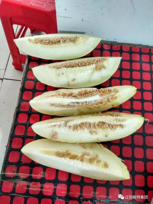 园区禁忌吃瓜,揭秘为何吃瓜成禁令